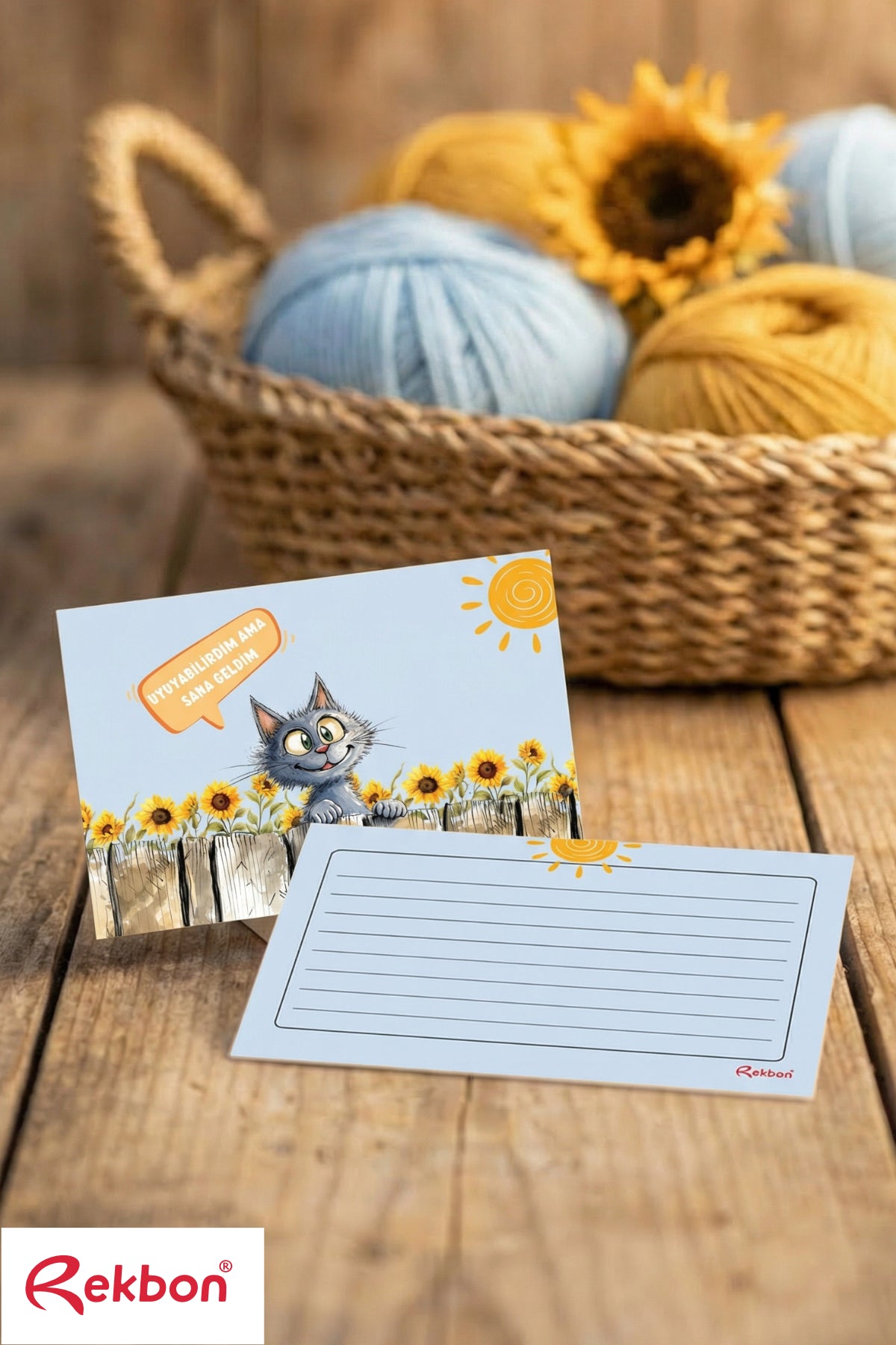 Rekbon Uykucu Kedi Notlu Hediye Kartı